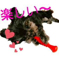 [LINEスタンプ] 我が家の愉快na仲間たち。
