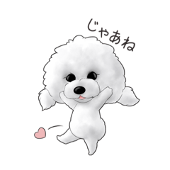 [LINEスタンプ] 白プードルここちゃん