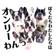 [LINEスタンプ] フレブル福ちゃんのおともだち