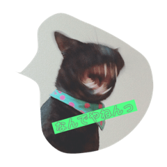 [LINEスタンプ] グリツナキャット245