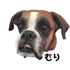 [LINEスタンプ] すぎもとけ