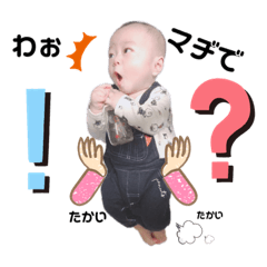 [LINEスタンプ] ボクはしょうたん2