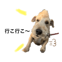 [LINEスタンプ] ワイヤーホックステリア
