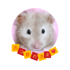 [LINEスタンプ] 小麦のお部屋