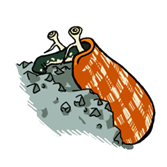 [LINEスタンプ] マガキガイ生活の画像（メイン）