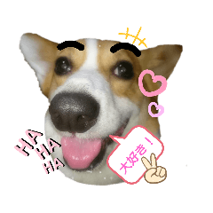 [LINEスタンプ] コーギー犬メルのスタンプ第一段