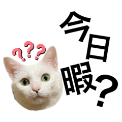 [LINEスタンプ] 世界一可愛いスタンプ爆誕した