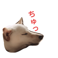 [LINEスタンプ] はくのまいにち1