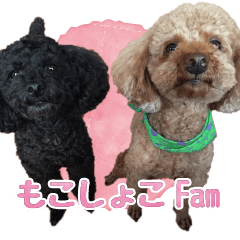 [LINEスタンプ] もこしょこファミリー