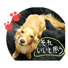[LINEスタンプ] チョコあられ日和