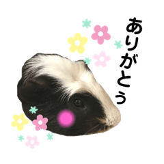 [LINEスタンプ] モルモ大豆❶