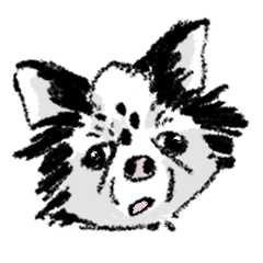[LINEスタンプ] マル～マル～マルちゃん～～です！