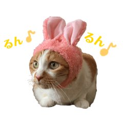 [LINEスタンプ] さやによるさらのスタンプ