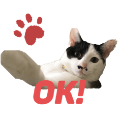 [LINEスタンプ] チョビ丸☆No.2