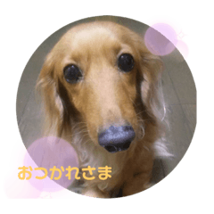 [LINEスタンプ] みるくちゃんスタンプ2