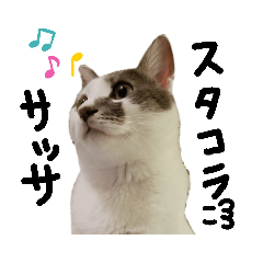 [LINEスタンプ] ぽてにゃとぷりちゃん2