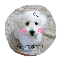 [LINEスタンプ] むーちゃん日記。