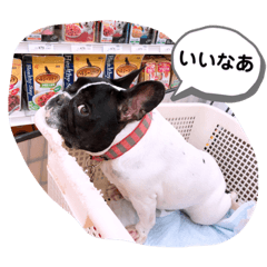 [LINEスタンプ] かわいいフレブルぱいんちゃん