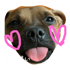 [LINEスタンプ] ぷりん's