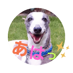 [LINEスタンプ] 親ばかばんざーい！
