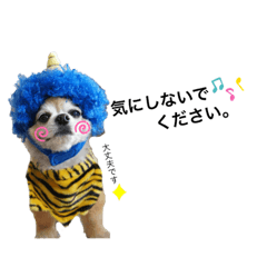 [LINEスタンプ] 愛犬チワワのレオくん②