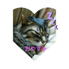 [LINEスタンプ] ねこ大好き大好き