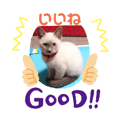 [LINEスタンプ] 飼い猫ホープ君