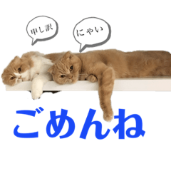 [LINEスタンプ] スコにゃん ライトとクゥちゃんスタンプ