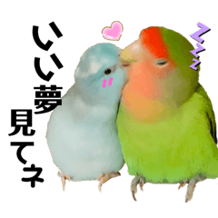 [LINEスタンプ] 小桜インコラッキー＆マメルリハそらパート4