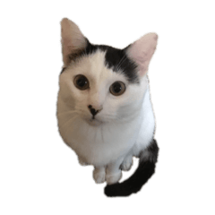 [LINEスタンプ] らにぽん☆ナナくうた