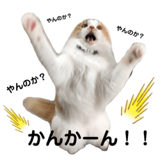 [LINEスタンプ] ぼく、おもち。2