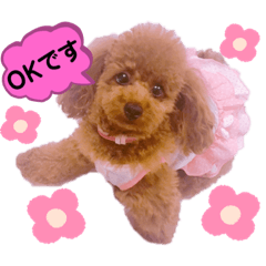 [LINEスタンプ] くぅたん日常で使うスタンプpart2