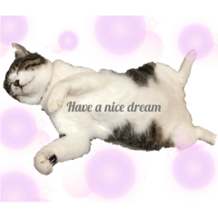 [LINEスタンプ] ゆきちとこたま。