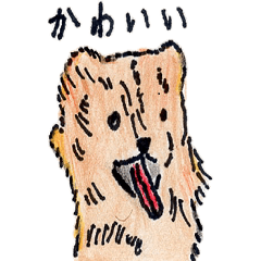[LINEスタンプ] 犬好きのあなたへ