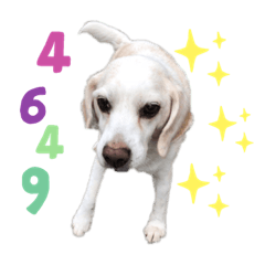 [LINEスタンプ] コケきのこ