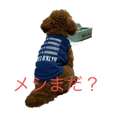 [LINEスタンプ] moanastanp