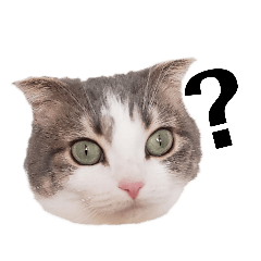 [LINEスタンプ] クスッとする三毛猫そぼろのスタンプ