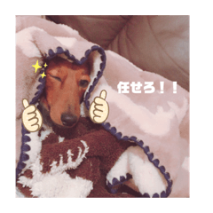 [LINEスタンプ] ロン吉の日常