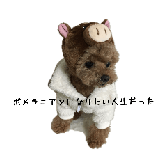ぬいぐるみじゃないよわんころだよ