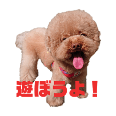 [LINEスタンプ] simple_takky01