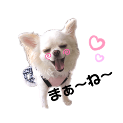 [LINEスタンプ] 可愛いルルのおはなし❸