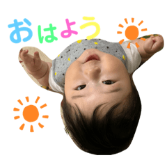 [LINEスタンプ] ましろくん(^^)