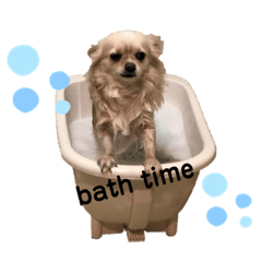 [LINEスタンプ] comoivスタンプ