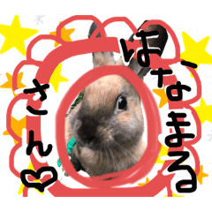 [LINEスタンプ] うさぎ★ほめ子