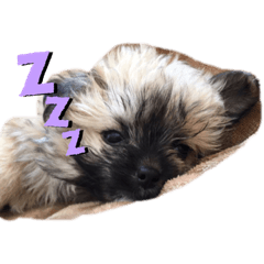 [LINEスタンプ] O.ノエル