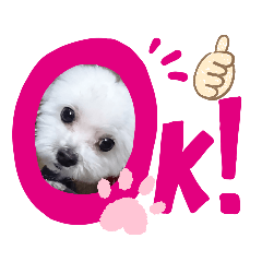 [LINEスタンプ] マルプーのクルミ2