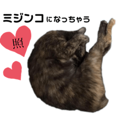 [LINEスタンプ] もりのさんちとゆかいな仲間たち