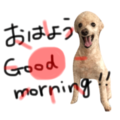 [LINEスタンプ] 犬。その名もチョコ①
