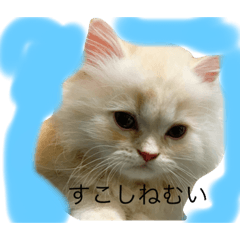 [LINEスタンプ] てぃむくん。