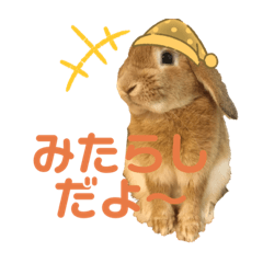 [LINEスタンプ] 第2弾！『みたらし』スタンプ